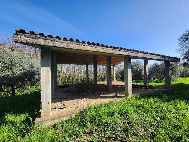 Rustico / Casale in vendita a Palestrina RM