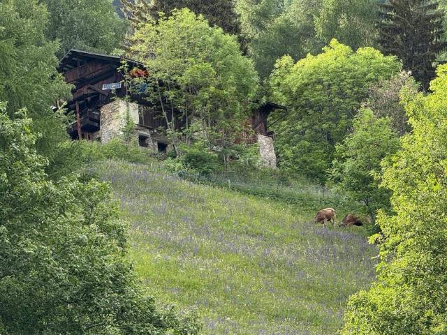 Rustico / Casale in vendita a Peio TN