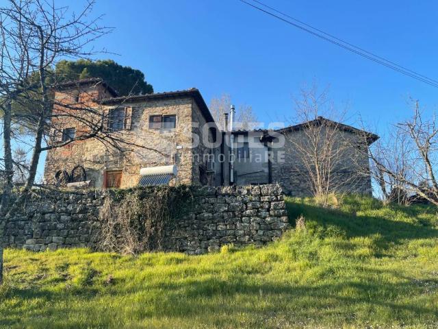 Rustico / Casale in vendita a Pelago FI