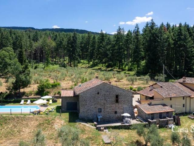 Rustico / Casale in vendita a Pelago FI