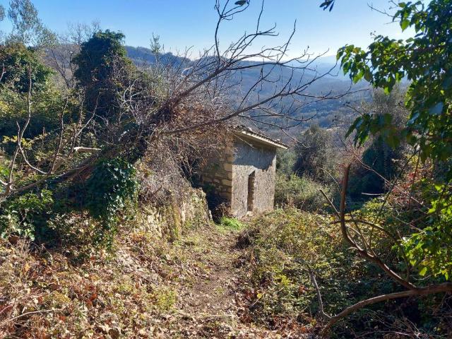 Rustico / Casale in vendita a Pennapiedimonte CH