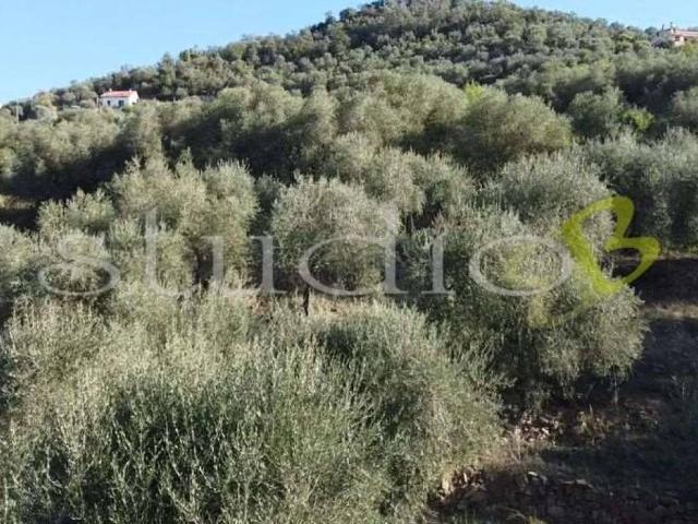 Rustico / Casale in vendita a Perinaldo IM