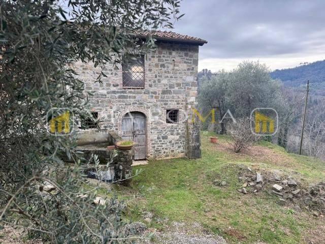 Rustico / Casale in vendita a Pescaglia LU