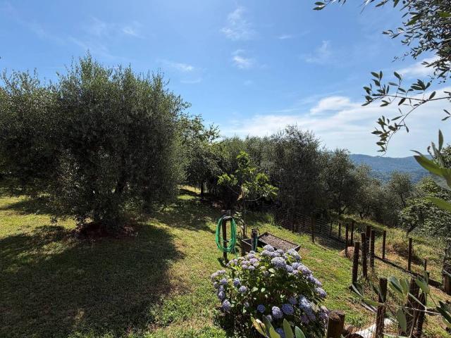 Rustico / Casale in vendita a Pescia PT