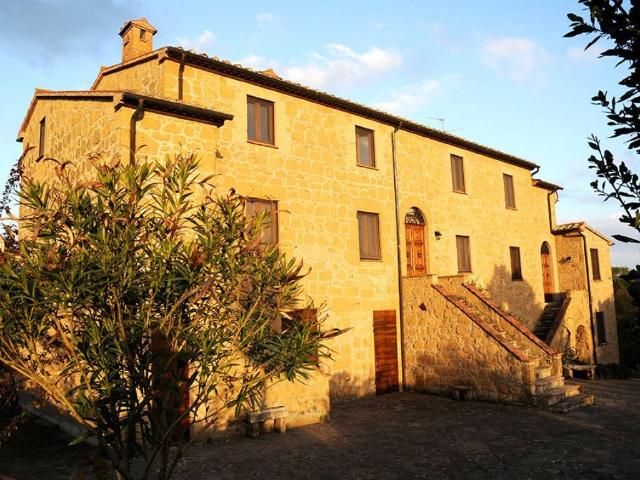 Rustico / Casale in vendita a Pitigliano GR