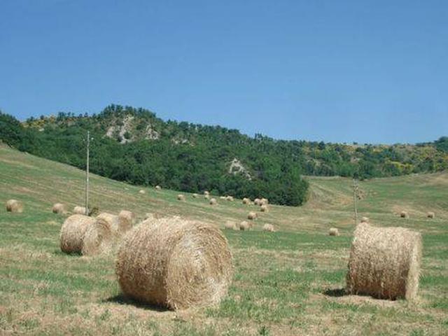 Rustico / Casale in vendita a Piandimeleto PU