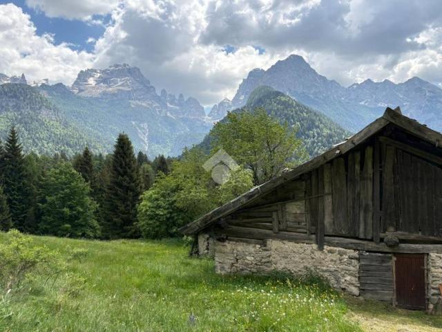 Rustico / Casale in vendita a Pinzolo TN