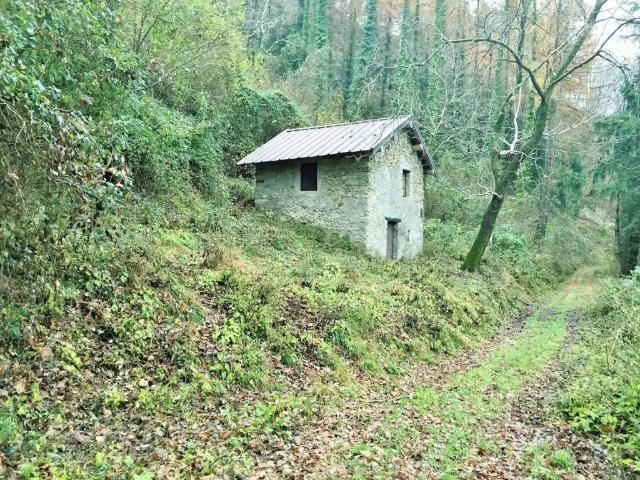 Rustico / Casale in vendita a Plesio CO