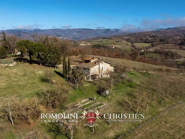 Rustico / Casale in vendita a Pratovecchio e Stia AR