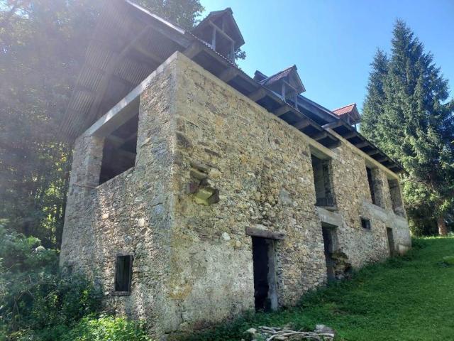 Rustico / Casale in vendita a Prato Carnico UD