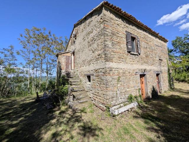 Rustico / Casale in vendita a Premilcuore FC