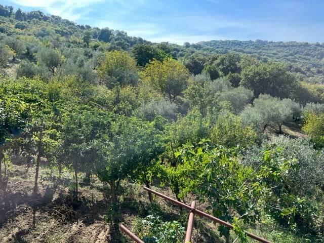 Rustico / Casale in vendita a Prignano Cilento SA