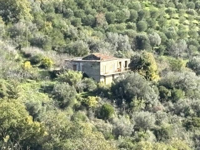 Rustico / Casale in vendita a Prignano Cilento SA