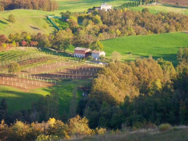 Rustico / Casale in vendita a Prignano sulla Secchia MO