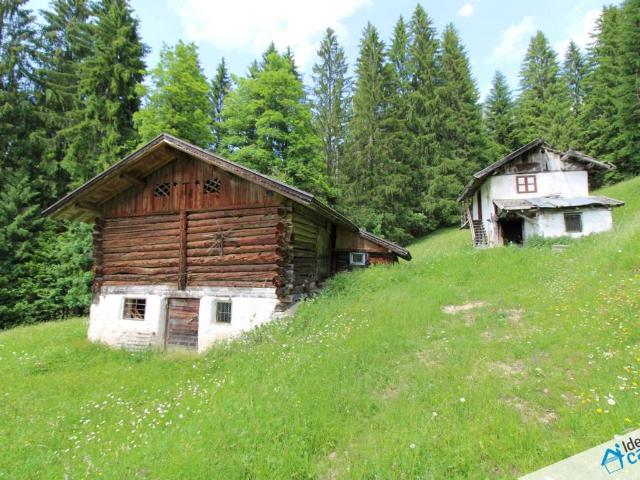 Rustico / Casale in vendita a Primiero San Martino di Castrozza TN