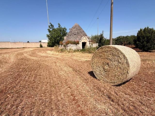 Rustico / Casale in vendita a Putignano BA