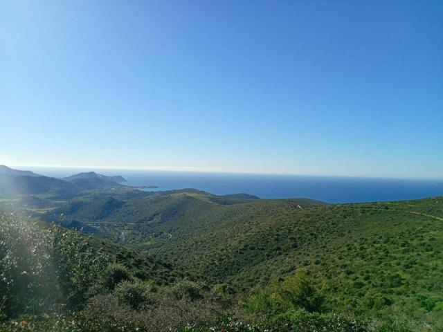 Rustico / Casale in vendita a Quartu Sant'Elena CA