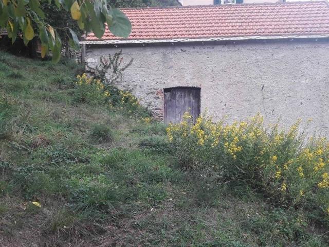 Rustico / Casale in vendita a Quiliano SV