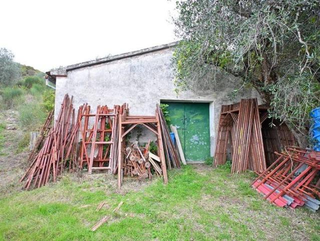 Rustico / Casale in vendita a Roccalbegna GR
