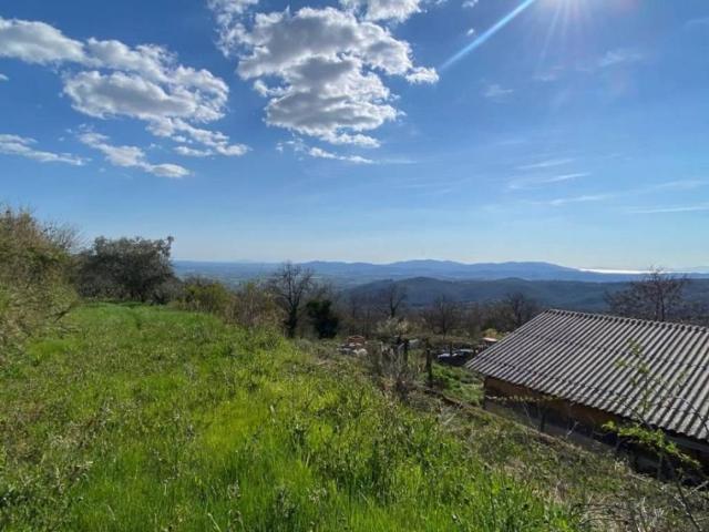 Rustico / Casale in vendita a Roccastrada GR