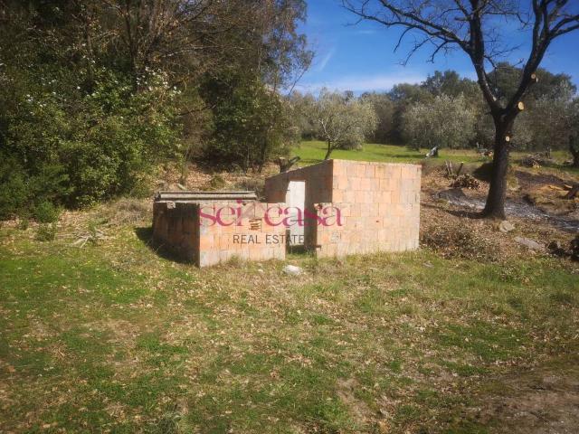 Rustico / Casale in vendita a Roccastrada GR
