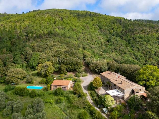 Rustico / Casale in vendita a Roccastrada GR