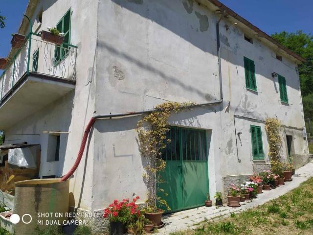 Rustico / Casale in vendita a Rosora AN