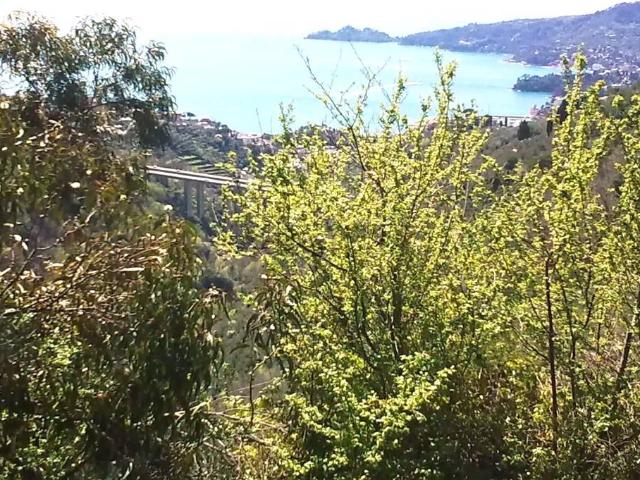 Rustico / Casale in vendita a Rapallo GE