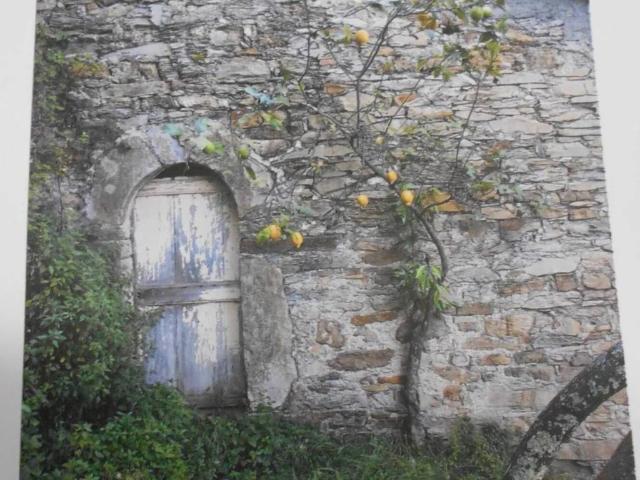 Rustico / Casale in vendita a Rapallo GE