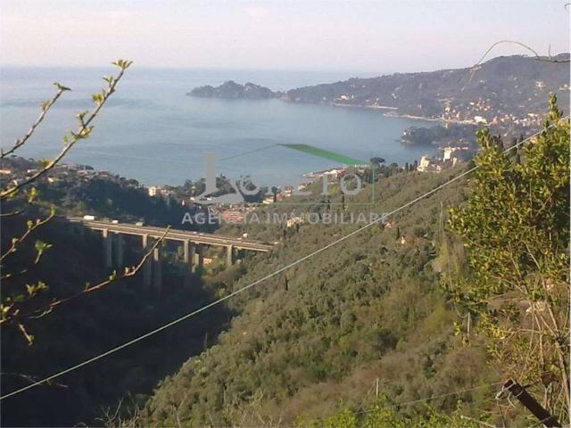 Rustico / Casale in vendita a Rapallo GE