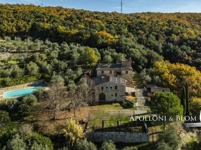 Rustico / Casale in vendita a Rapolano Terme SI