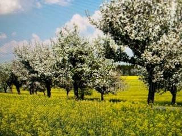 Rustico / Casale in vendita a Reggio Emilia RE