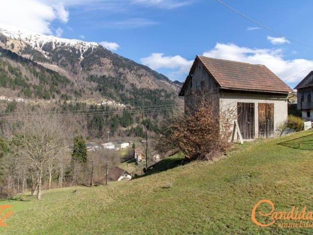 Rustico / Casale in vendita a Rigolato UD