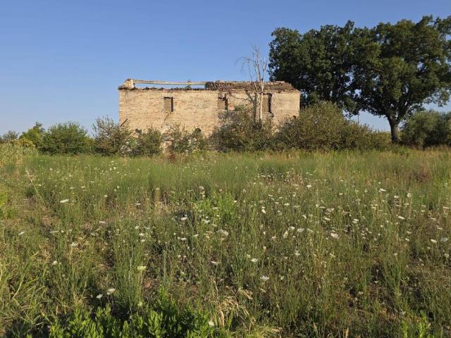 Rustico / Casale in vendita a Rimini RN