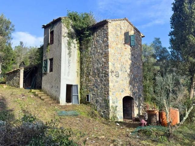Rustico / Casale in vendita a Riparbella PI