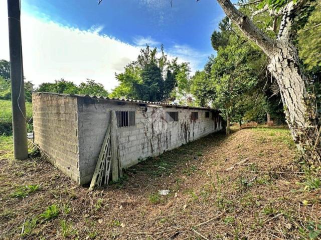 Rustico / Casale in vendita a Tavullia PU