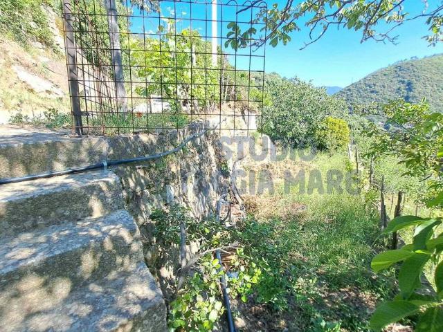 Rustico / Casale in vendita a Taggia IM