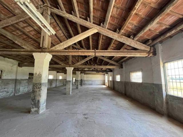Rustico / Casale in vendita a Taglio di Po RO