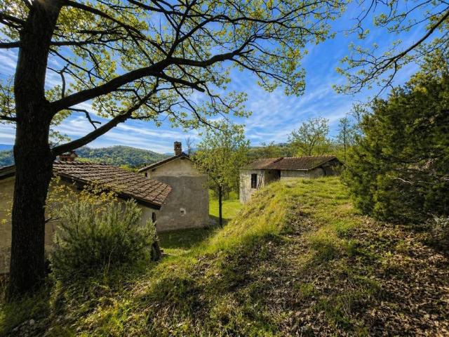 Rustico / Casale in vendita a Tagliolo Monferrato AL