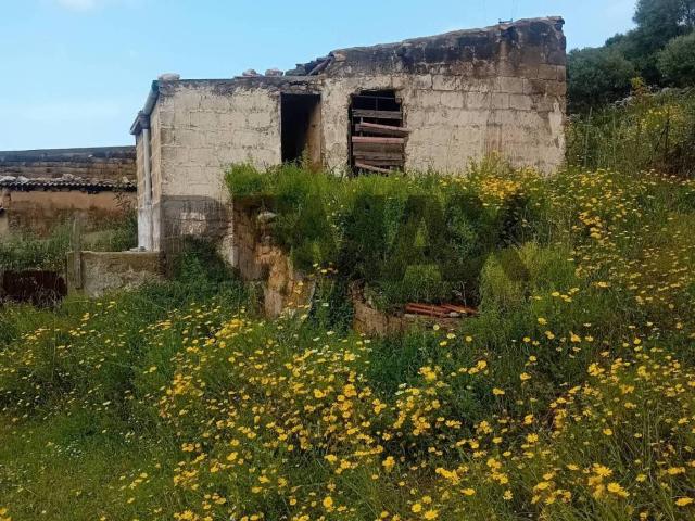 Rustico / Casale in vendita a Terrasini PA