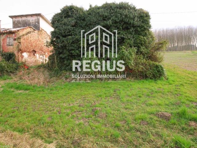 Rustico / Casale in vendita a Trebaseleghe PD