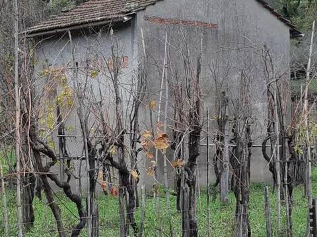 Rustico / Casale in vendita a Tresana MS