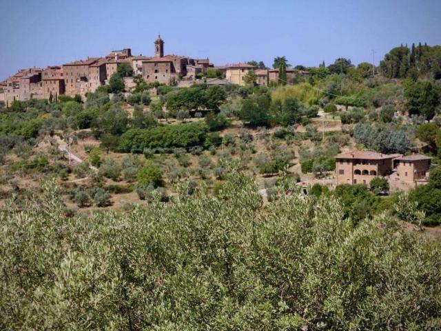 Rustico / Casale in vendita a Trequanda SI