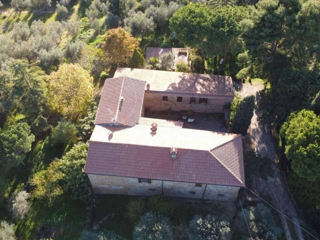 Rustico / Casale in vendita a Trequanda SI
