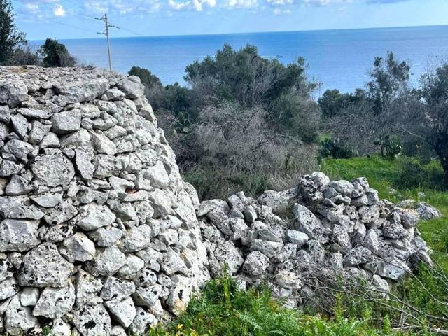 Rustico / Casale in vendita a Tricase LE