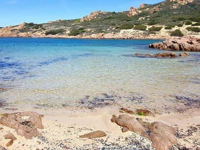 Rustico / Casale in vendita a Trinità d'Agultu e Vignola SS