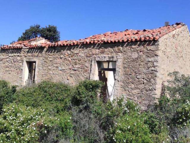 Rustico / Casale in vendita a Trinità d'Agultu e Vignola SS