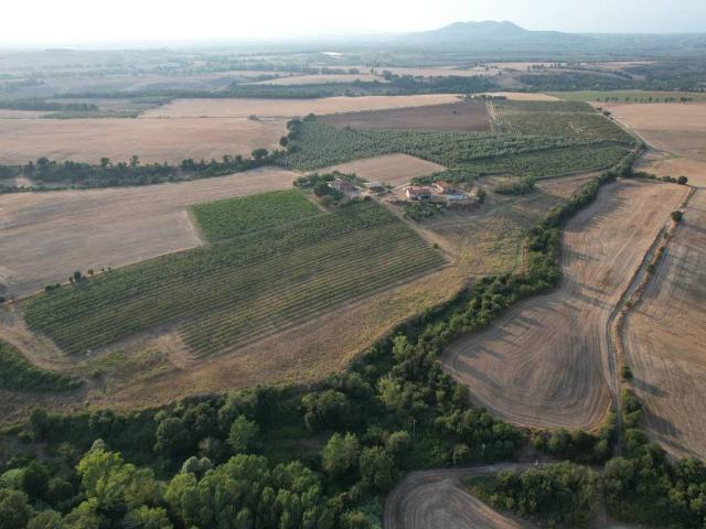 Rustico / Casale in vendita a Tuscania VT