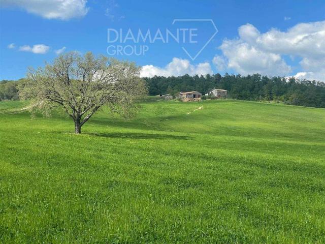Rustico / Casale in vendita a Valentano VT