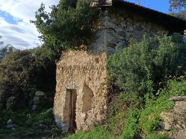 Rustico / Casale in vendita a Vallebona IM
